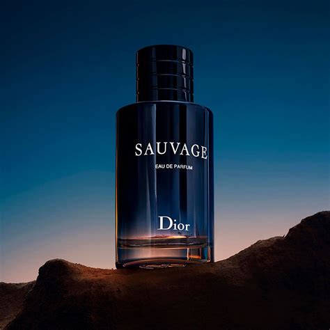 perfumes masculinos da dior|Dior perfume online shop.